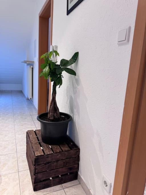 Apartamento Casa Italia Oberasbach Exterior foto